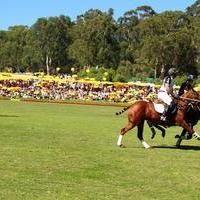 Veuve Clicquot Polo Classic Los Angeles at Will Rogers State Historic Park | Picture 99278